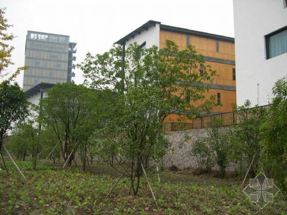 荔城2017中国美术学院象山alc板材蒸压加气混凝土板材